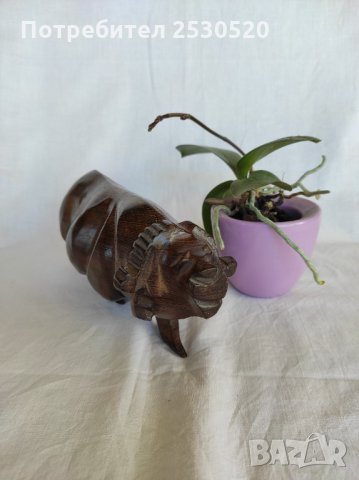 Африкански бивол