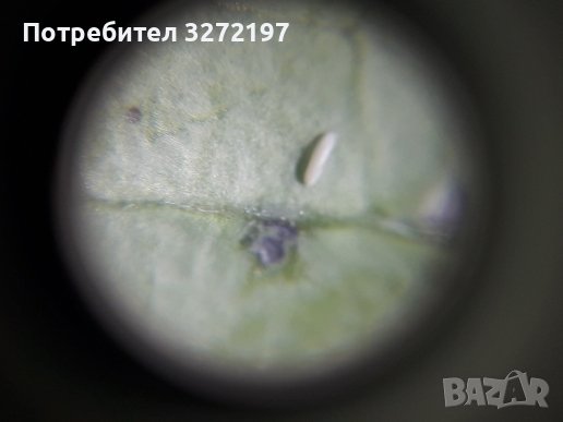Джобен микроскоп с щипка за мобилен телефон, UV светлина 60X LED, лупа, регулиране на фокусирането, снимка 15 - Селфи стикове, аксесоари - 40932666
