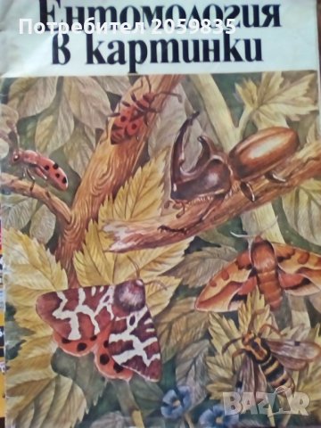 Стари комикси и детски книжки - 2, снимка 3 - Списания и комикси - 39940986