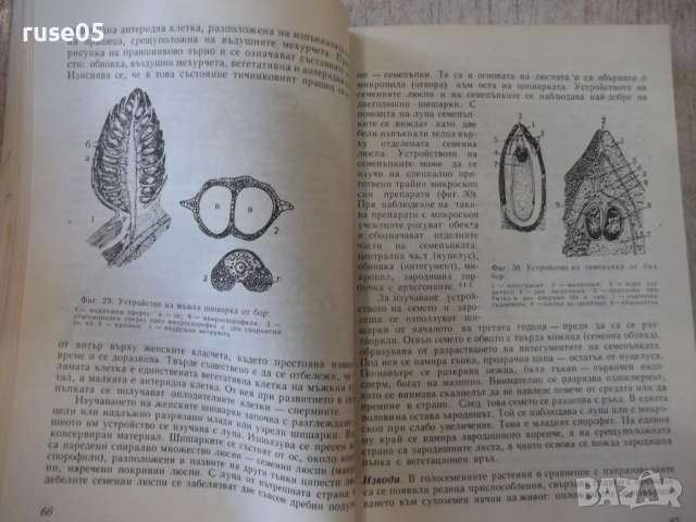 Книга "Лабораторните занятия по биология-М.Марчева"-208 стр., снимка 6 - Учебници, учебни тетрадки - 36287196