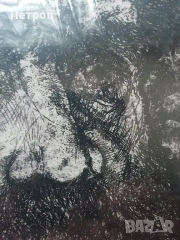 Графика- портрет на Лев Толстой, снимка 3 - Картини - 48270326