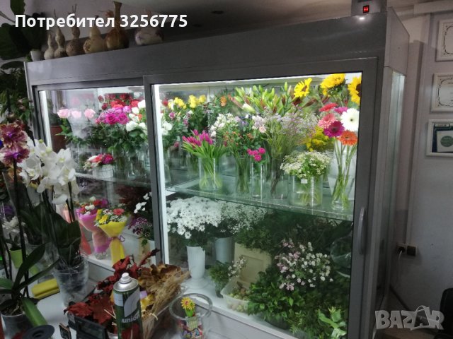 Хладилна витрина за цветя, снимка 2 - Витрини - 40895672