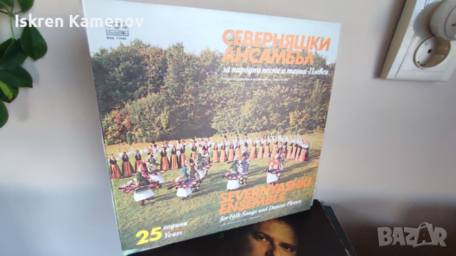 Грамофонни плочи 3, снимка 9 - Грамофонни плочи - 36239458