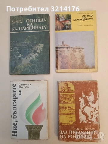Зад пределите на родината - Николай Георгиев