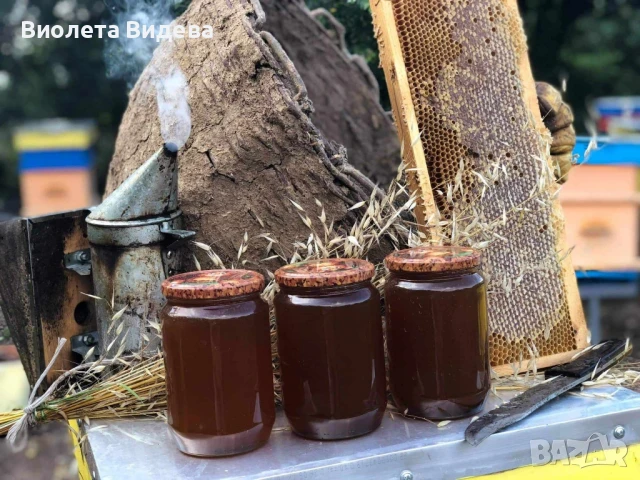 пчелен мед , снимка 1