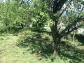 Имот в регулация в с.Паволче 600м2 до главен път, снимка 2
