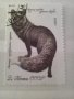 Стари марки с животни, снимка 2