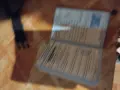 помериан продава се. , снимка 9