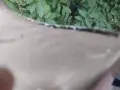 Манекени / торове . Цената е за всички ., снимка 9