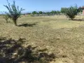 Продава парцел в село Добровница , снимка 2