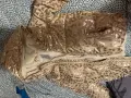 Две зимни детски якета , снимка 3