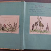 Ловци на жирафи, снимка 4 - Детски книжки - 41979743