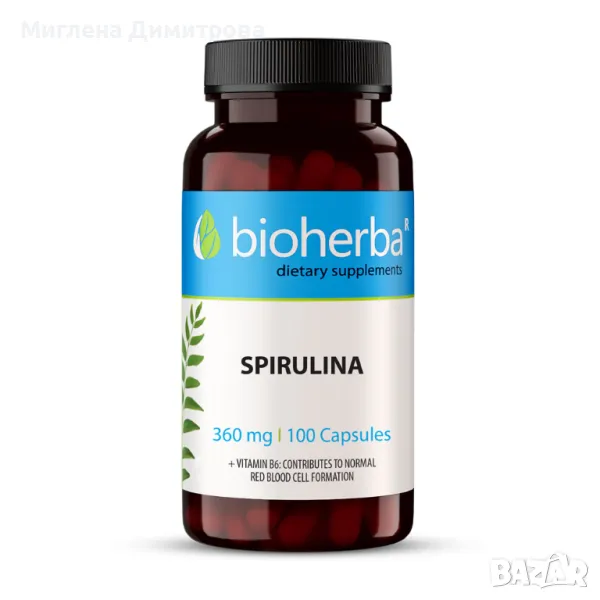 СПИРУЛИНА/ SPIRULINA + B6 100 капсули, 360мг-за нормалното образуване на червени кръвни телца, снимка 1