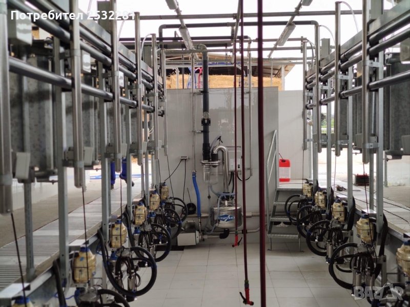 Доилни зали  за крави и биволи, снимка 1