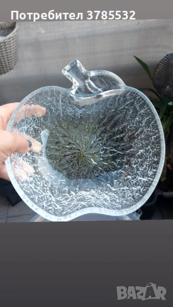 Фруктиера , снимка 1