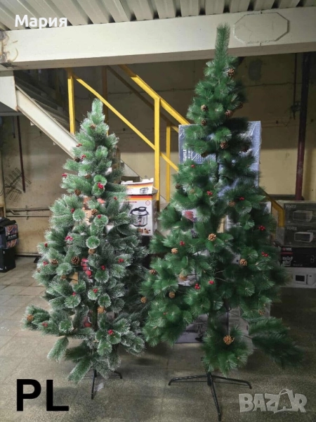 Коледни елхи с бели връхчета, снимка 1