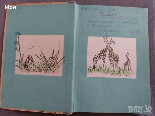 Ловци на жирафи, снимка 4 - Детски книжки - 41979743