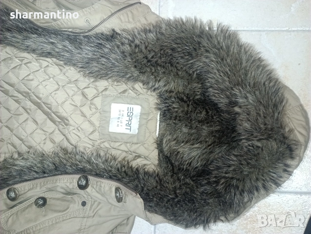 дамско яке Esprit L с вата и качулка - 29 лв, снимка 10 - Якета - 52552712