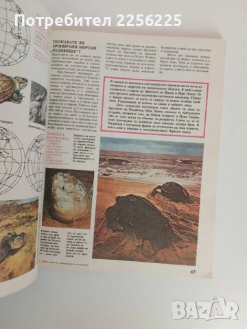 Какво знаем за земноводните и влечугите , снимка 5 - Специализирана литература - 51089420