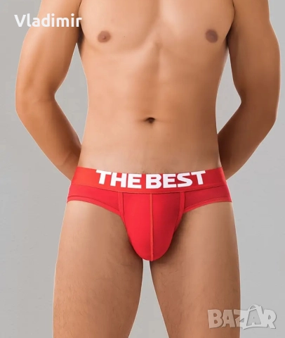 Мъжки слипове различни цветове и модели, снимка 12 - Бельо - 51330804