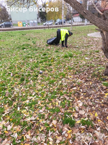 Озеленяване и Поддръжка , снимка 4 - Други услуги - 52817158