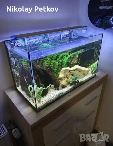 Специализирани аквариумни лампи, снимка 10 - Оборудване за аквариуми - 40250243