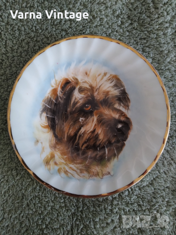 Малка колекционерска порцеланова чиния Куче. FINSBURY Англия. марк.