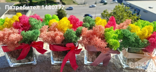 Стъклени кашпи със скандинавски мъх , снимка 18 - Декорация за дома - 48169993