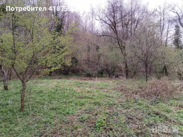 Имот в добро състояние, намиращ се на 10км.от Трявна. , снимка 14 - Къщи - 49876790