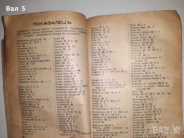 Рядък илюстрован разговорник , речник Царство Б- я, снимка 7 - Специализирана литература - 53664709