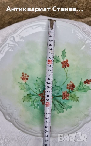 Чиния/поднос Hutschenreuther Ръчно рисуван , снимка 13 - Декорация за дома - 51330927