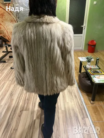 кожено палто от сребърна лисица размер 38, снимка 9 - Палта, манта - 13289481
