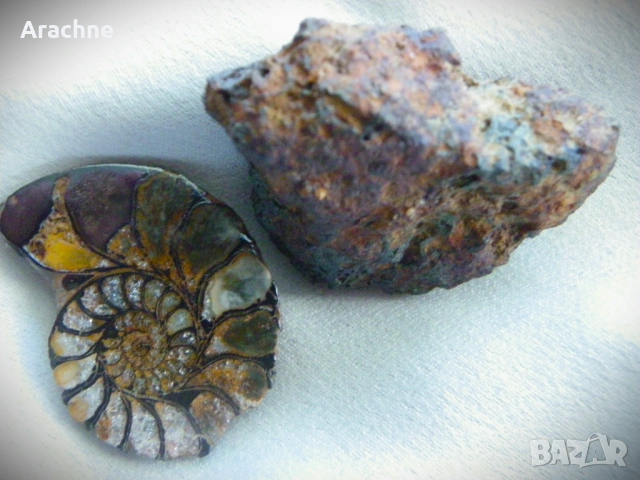 Метеорит и амонит от Мароко, снимка 6 - Колекции - 51857138