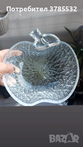 Фруктиера , снимка 1