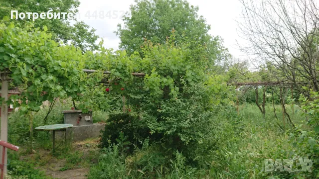 Продавам къща в с. Крушуна, снимка 17 - Къщи - 50434024