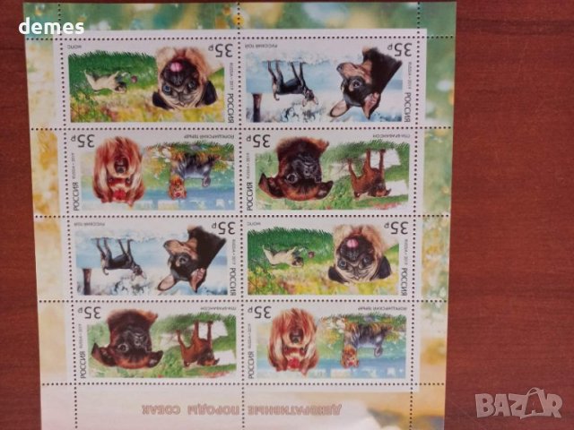 Блок марки Декоративни породи кучета, 2019, минт, снимка 2 - Филателия - 42160815