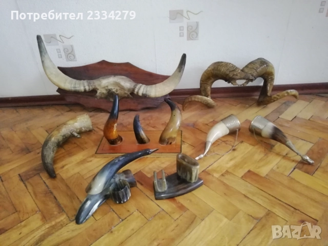 Стари трофейни рога и сувенири изработени от рога, снимка 2 - Антикварни и старинни предмети - 52574037