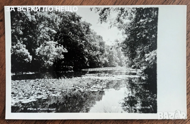 4 БРОЯ КАРТИЧКИ ЧЕРНО-БЕЛИ ОТ 1960-ТЕ ГОДИНИ, снимка 5 - Колекции - 35211232