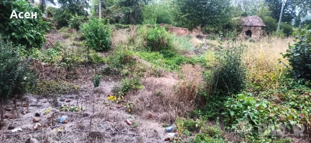 Къща с двор в село Бистренци, снимка 3 - Къщи - 50294542