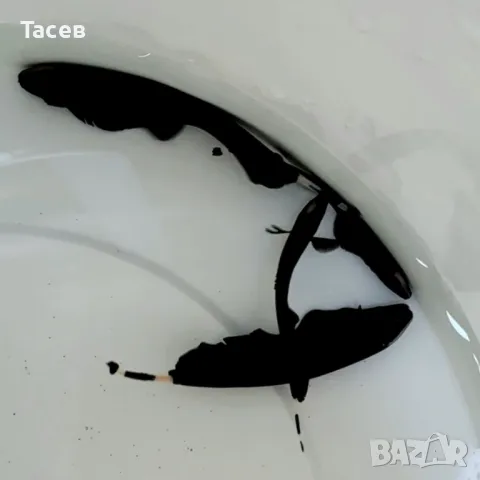 Черен нож 7см