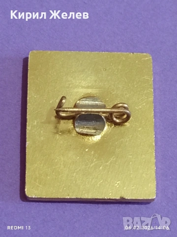 Две значки Гимназия Георги Бенковски Тетевен - Пазарджик 51110, снимка 7 - Колекции - 53368486