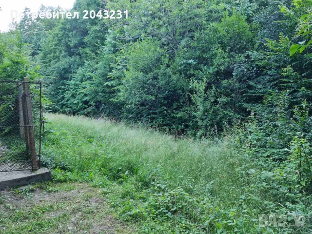 Парцел в регулация Габрово с. Мечковица, снимка 3 - Парцели - 42559107