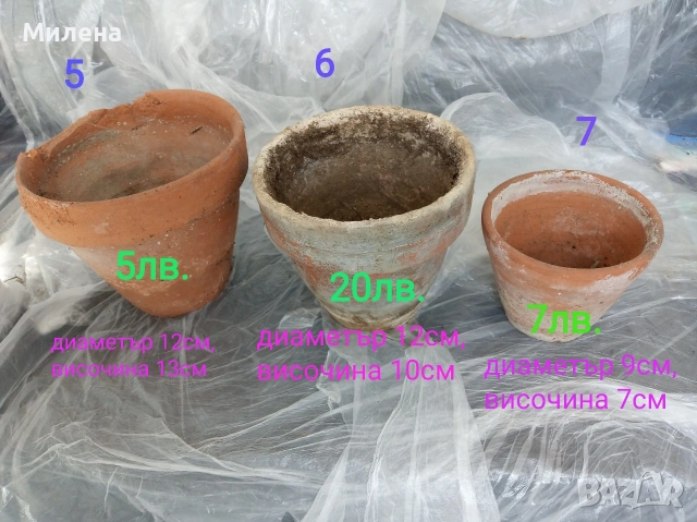 Саксии, снимка 4 - Саксии и кашпи - 53650030