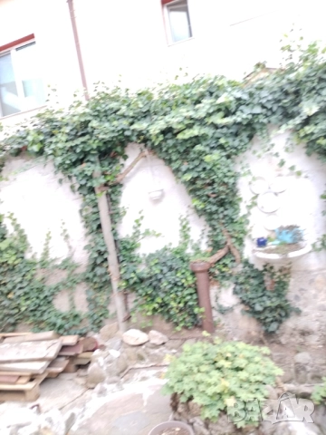 Продавам къща в гр. Смолян, кв. Долно Райково, снимка 9 - Къщи - 52179850