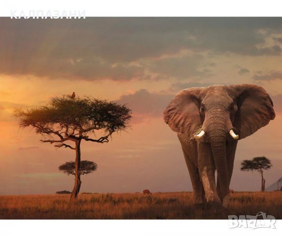Пъзел Ravensburger 1000 ел. - Слон в Масай мара, снимка 2 - Игри и пъзели - 35992809