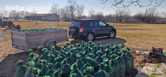 🌱 Биохумус от Червен Калифорнийски Червей – 100% натурален тор! 🌿, снимка 6 - Тор и почвени смеси - 49151767