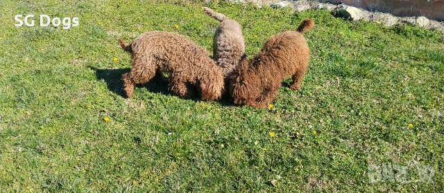 продавам лагото, снимка 15 - Други - 53779021