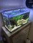 Специализирани аквариумни лампи, снимка 10
