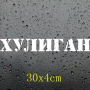 Черен и светло-сив самозалепващ стикер лепенка с надпис Хулиган и Хулиганка за кола автомобил мотор , снимка 6
