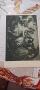 Стари картички пощенски , снимка 13
